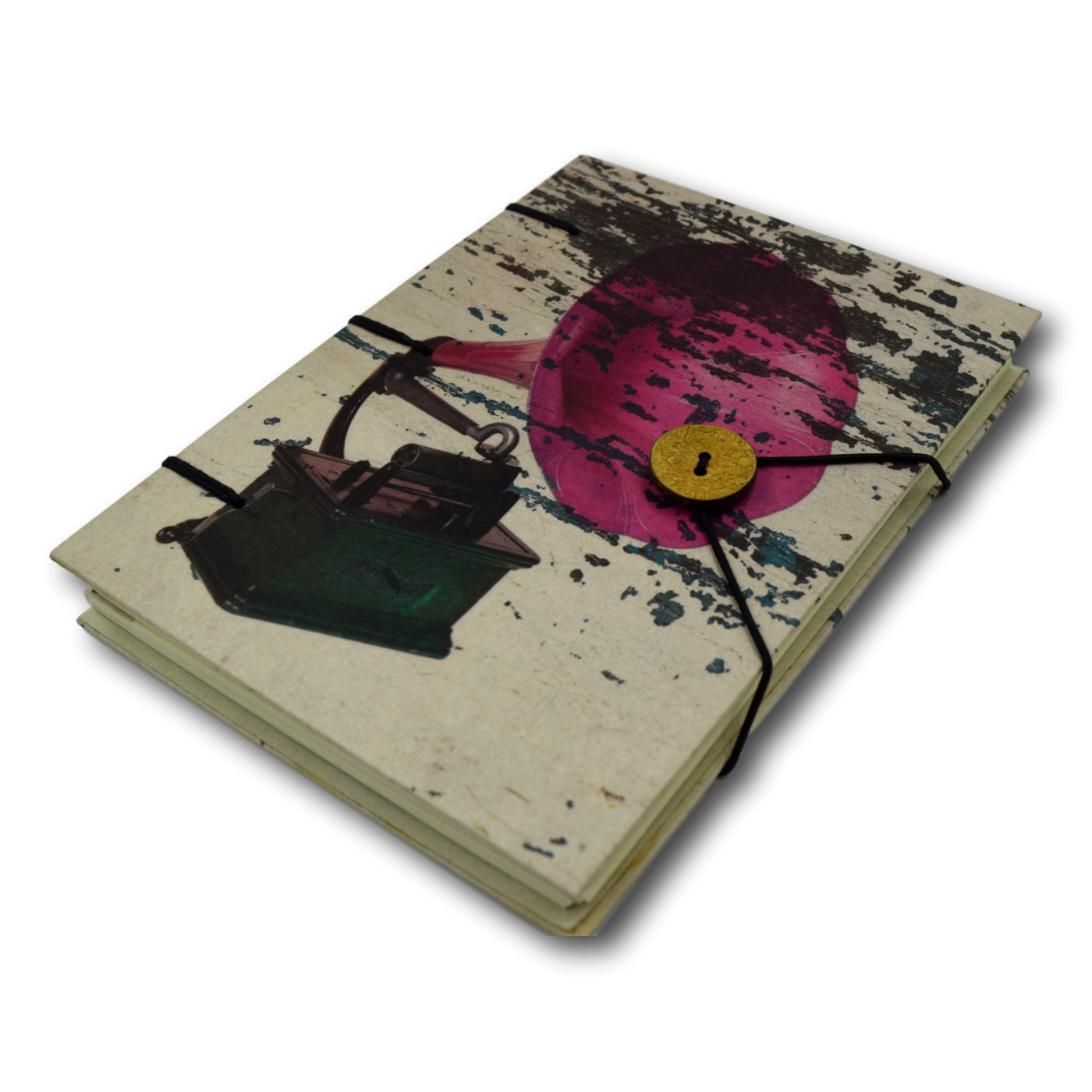 Frozen in Time - Journal