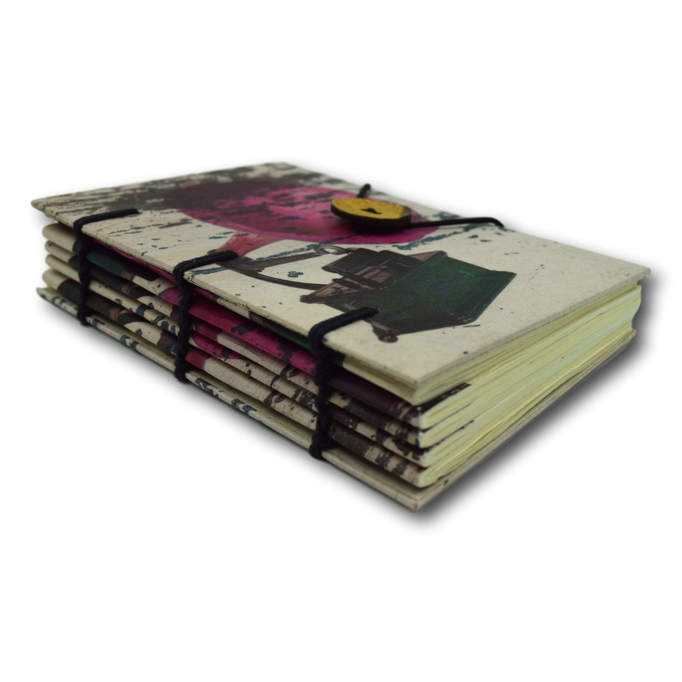 Frozen in Time - Journal